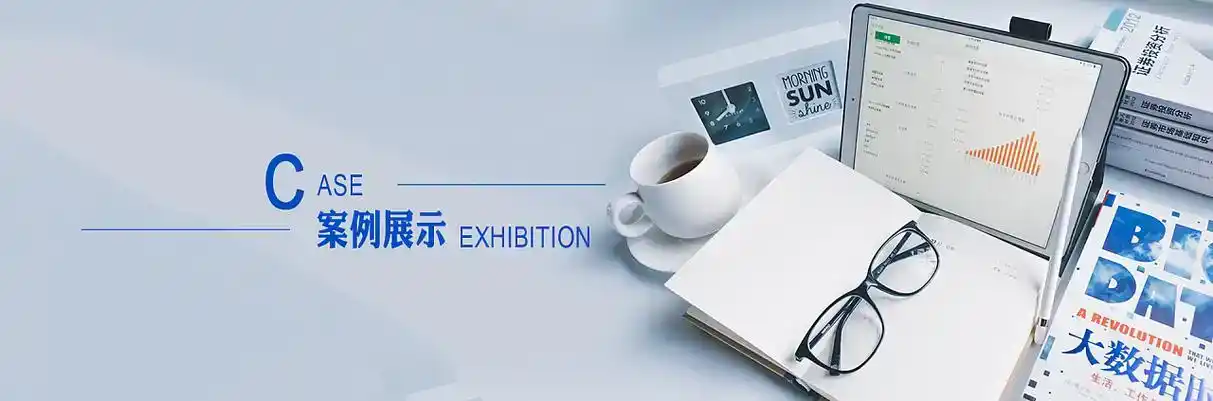 磐安县软件开发
